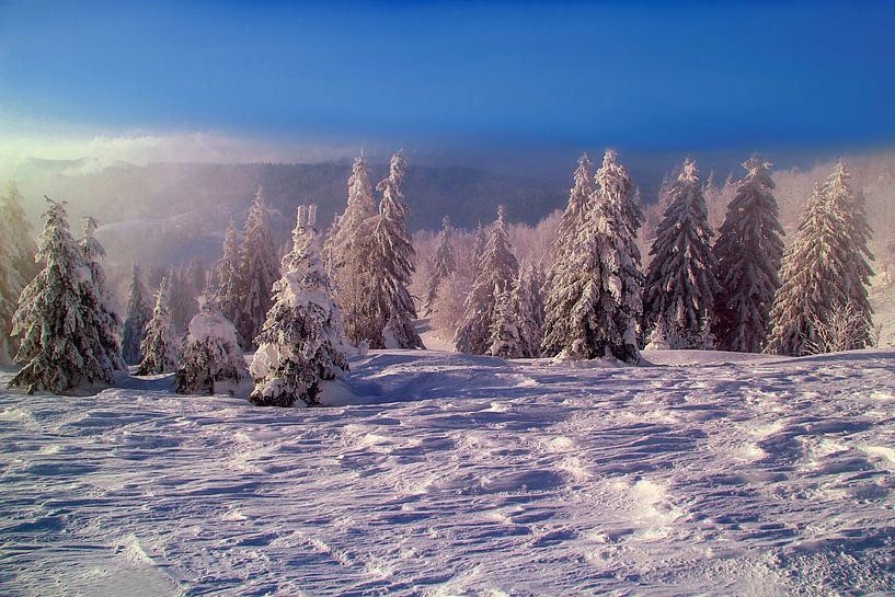 Winter in het Zwarte Woud van Patrick Lohmüller