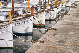 Mallorcan fishing boats in the Port de Pollenca by Rolf Schnepp