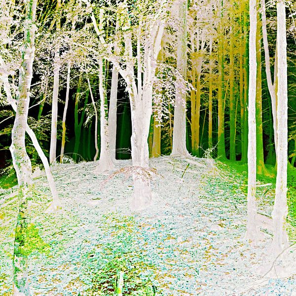 The energy of nature by FRESH Fine Art