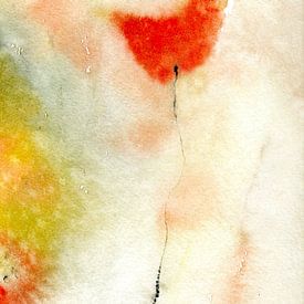 floral colour study by Claudia Gründler