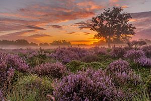 Sonnenaufgang Bakkeveen