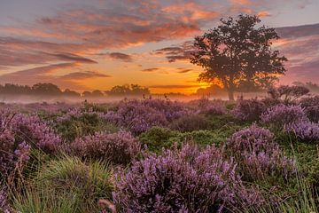 Zonsopkomst Bakkeveen van Hans Stuurman