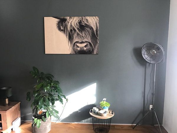 Customer photo: Portrait Scottish Highlander black and white by Sandra van Kampen