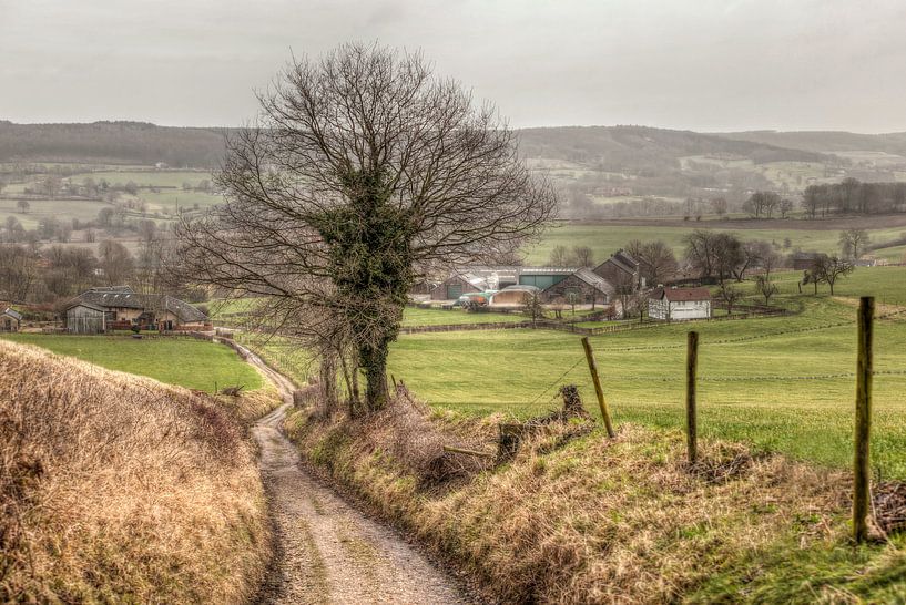 Limburgs Landschap bij Epen van John Kreukniet