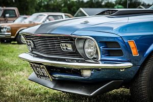 Mustang van Jasper Scheffers