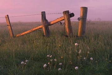 Houten hekje langs een weiland in de mist van E Picqtures