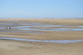 Het Groene Strand
