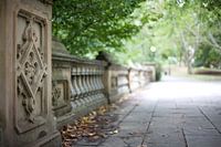 Central Park