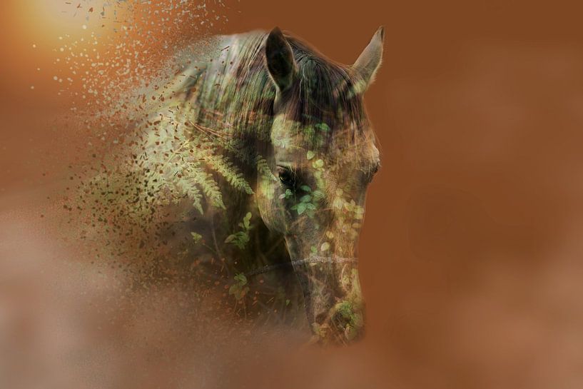 Sandstorm by Kim van Beveren