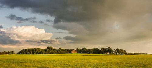 Wierdendorp Rottum in de provincie Groningen, Nederland van Bo Scheeringa Photography