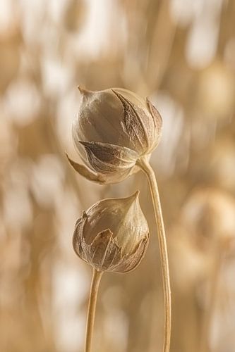 Landelijke liefde: Met z'n tweetjes samen