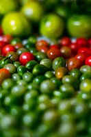 Green tomatoes