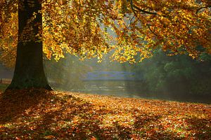 Boom in herfstkleuren en  blauwe brug von Michel van Kooten