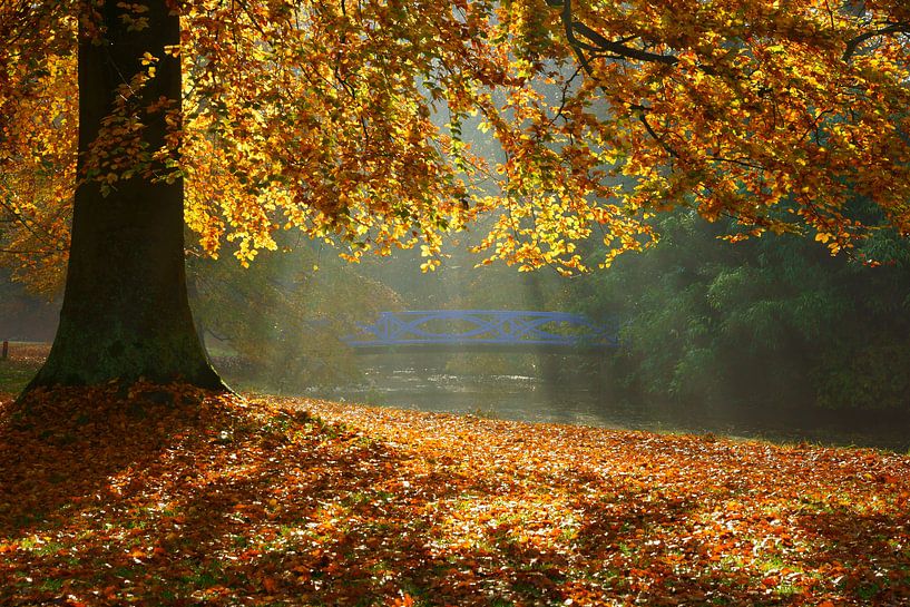 Boom in herfstkleuren en  blauwe brug par Michel van Kooten