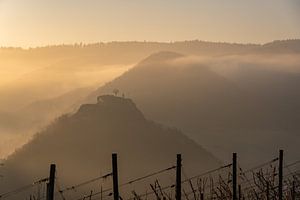 misty morning by Heinz Grates