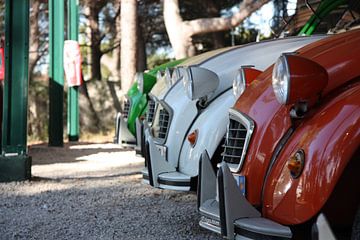Rijtje Citroën 2CV van Stan Loo