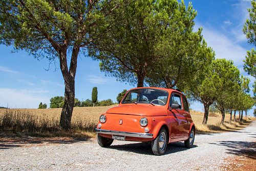 Fiat 500 in bomenlaan (2)