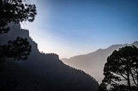 Silhouetten van Pierre Verhoeven thumbnail