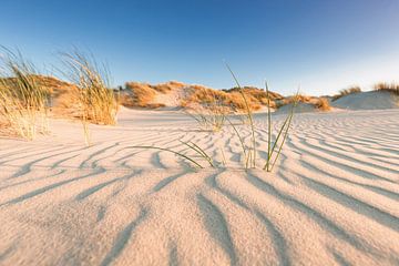 Des herbes hautes dans des structures de sable sur Jurjen Veerman