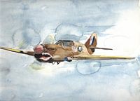 aquarel