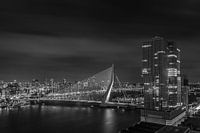 Manhattan @ the Maas - Rotterdam Skyline (2)