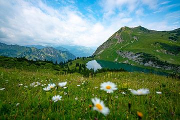 Bloemrijk uitzicht op de Seealpsee in de Allgäuer Alpen