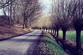 Où nous mène notre chemin ? sur Momentaufnahme | Marius Ahlers