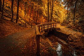 Herbstbrücke von Stefanie Hürrich