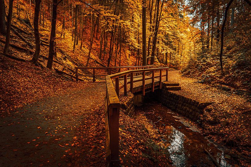 Autumn Bridge by Stefanie Hürrich