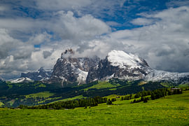 Seiser Alm or Alpe di Siusi panorama in the Dolomites by Sjoerd van der Wal Photography