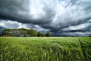 Dark storm clouds over the meadows