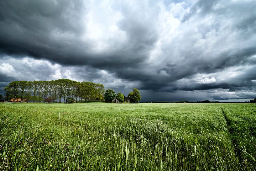 Dunkle Gewitterwolken über der Wiese von Sjoerd van der Wal Fotografie