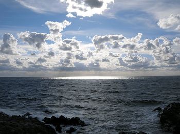 Wild-romatische Küstennatur, Kullaberg Schweden 5