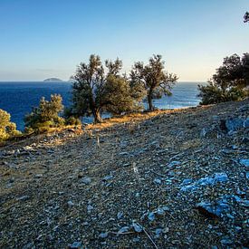 Zuidelijk kustlandschap Kreta van Ronnie Reul