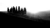 Toscaanse zonsondergang in zwart-wit van Teun Ruijters thumbnail