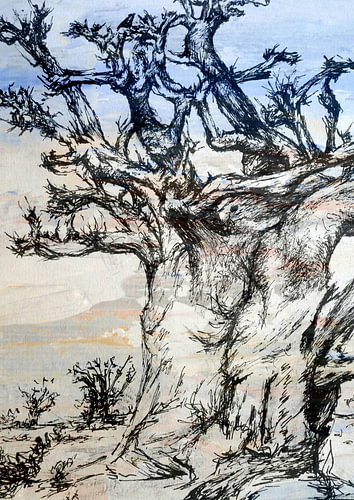 The mystery of the baobab tree