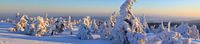 Panorama van de besneeuwde Brocken-top van Karina Baumgart thumbnail