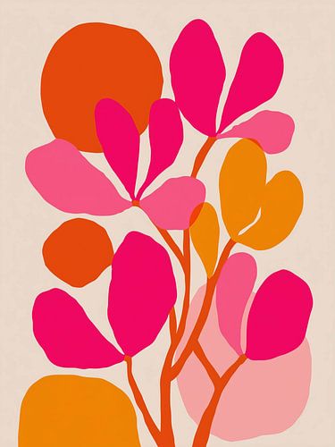 Où le fuchsia pousse sous des formes solaires