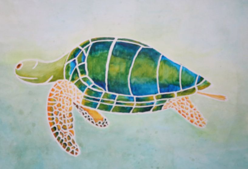 Zwemmend schildpadje van Wilma Hage