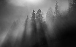 wintersun von andreas dauer