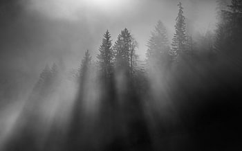 wintersun