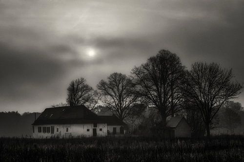 Mistlandschap Out Herlaer