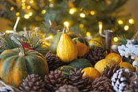 Christmas atmosphere with a mix of pine cones and gourds.