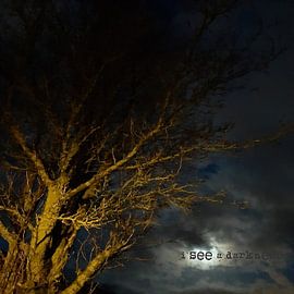 I see darkness by Jack Wilms