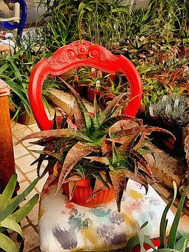 Chaise à dossier rouge utilisée dans une exposition de succulentes