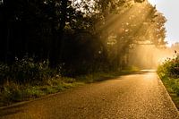Sun Beams