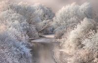 Winter Song, Sebestyen Bela by 1x thumbnail