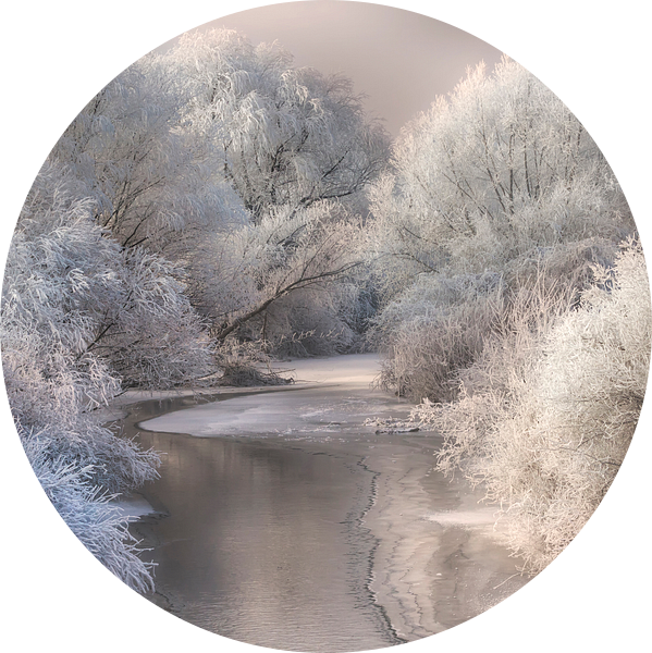 Winterlied van Sebestyen Bela