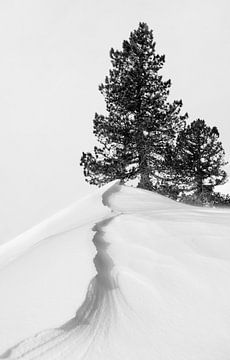Over de sneeuw en vormen, Rodrigo Nunez Buj van 1x