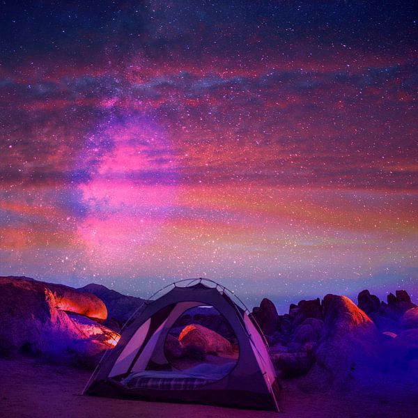 Dream Time III by Mad Dog Art